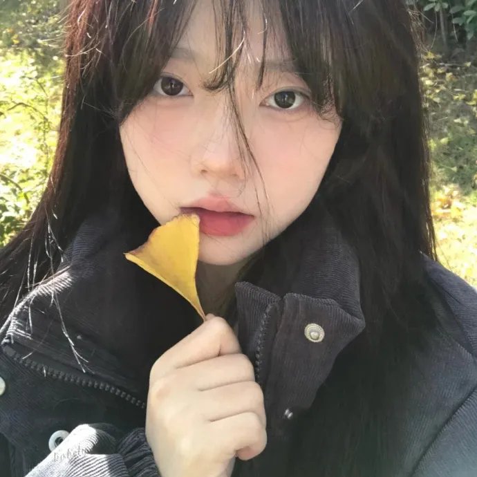 浪女回头